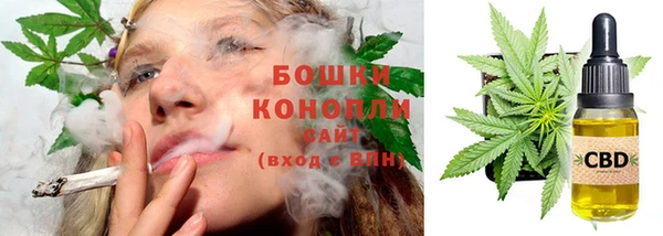 прущие грибы Баксан