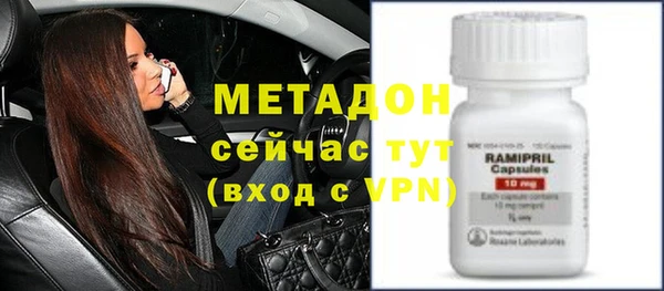 прущие грибы Балахна