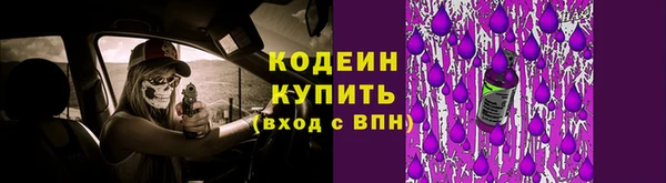 прущие грибы Баксан