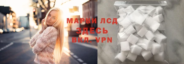 прущие грибы Балахна