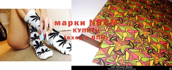прущие грибы Баксан
