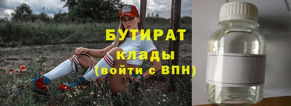 прущие грибы Балахна