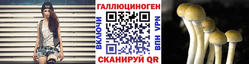 Псилоцибиновые грибы прущие грибы  Купить закладки  Апшеронск 